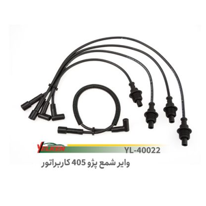 وایر شمع انژکتور 405.فرانکو