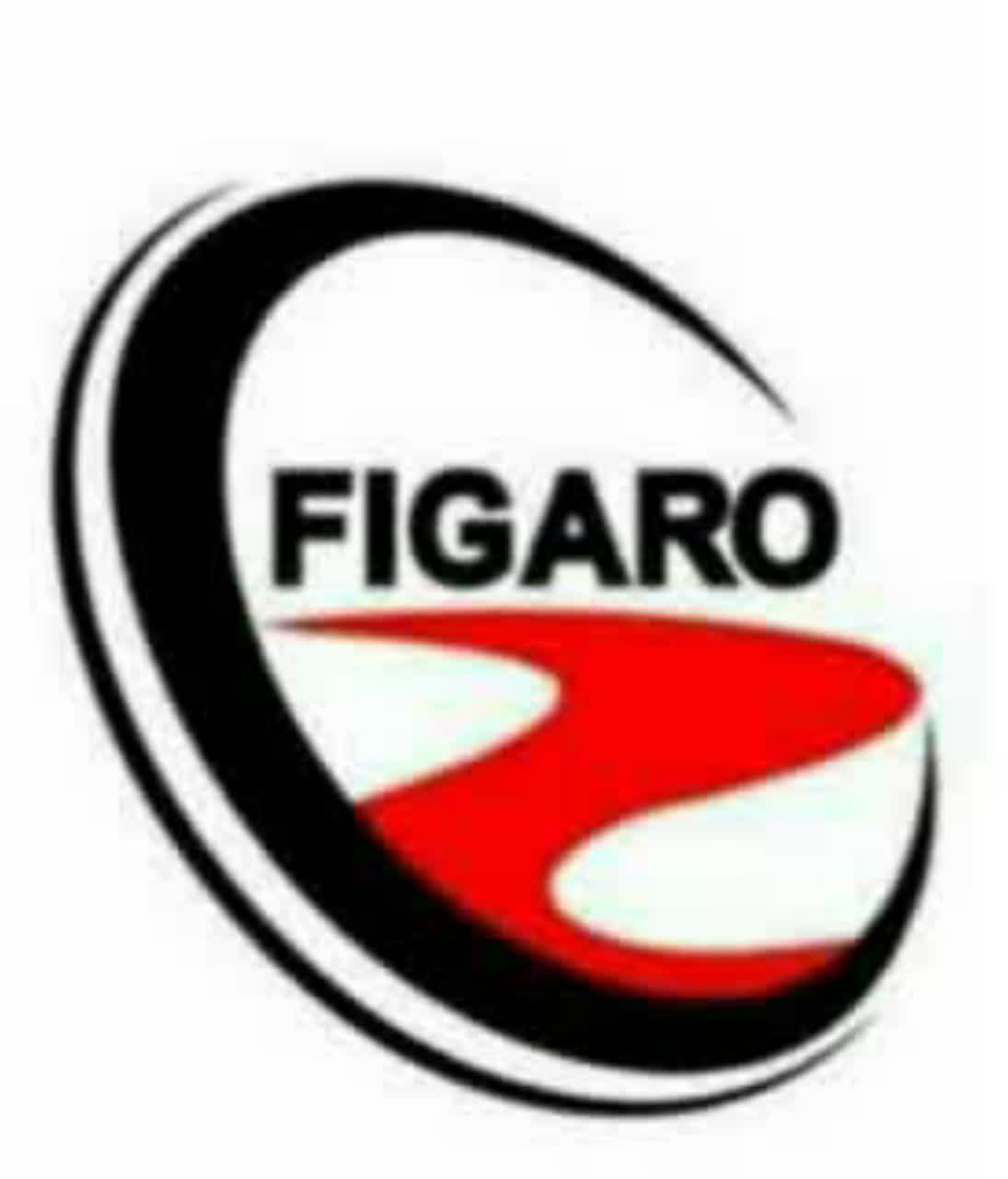 فیگارو Figaro