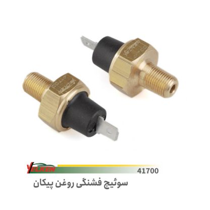 فشنگی روغن پیکانyellken