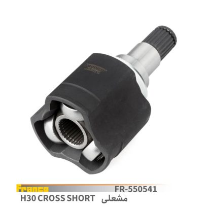 مشعلي کوتاهH30CROSS- فرانکو